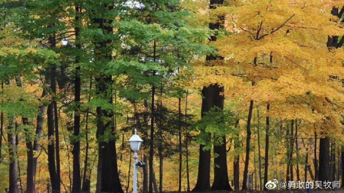 抖音自助下单平台网页：优质视频内容创作与传播指南_0.5元1000赞自助下单